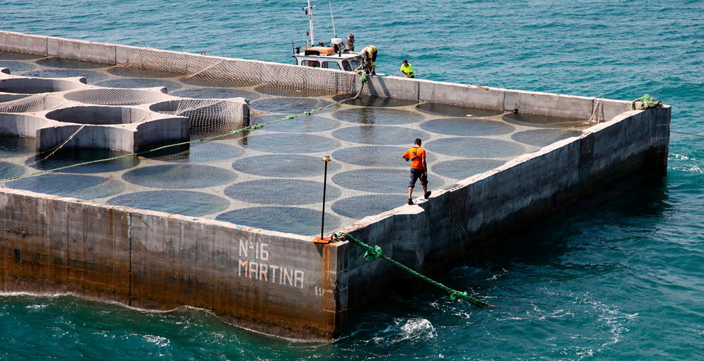 Imagen de operarios en un almacen de viento en el mar generador de energía eólica